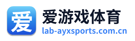 爱游戏体育